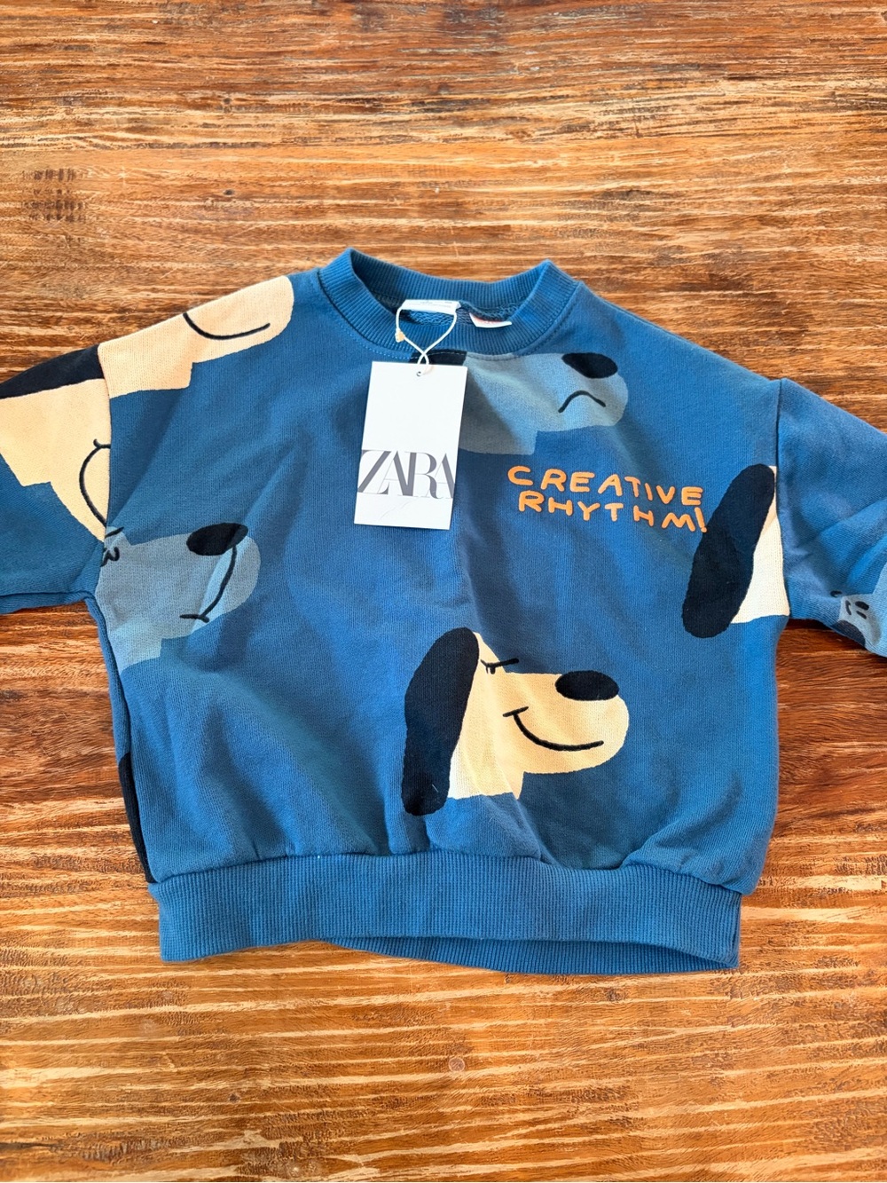 ZARA Blue Kids Sweatshirt with Playful Dog Motif